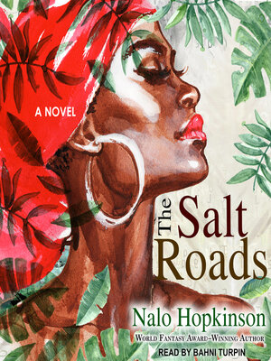 cover image of The Salt Roads